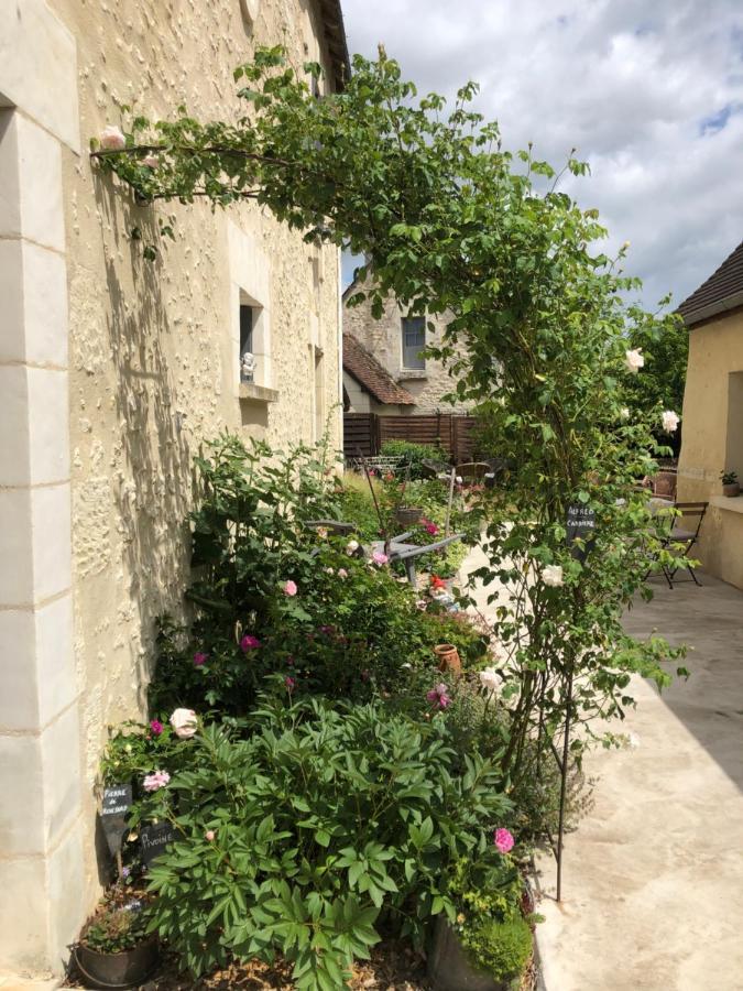 Les Chambres De L'Aigronne Le Petit-Pressigny Exteriér fotografie